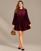 Velvet Lace Yoke Long Puff Sleeve Babydoll Mini Dress | Oyese